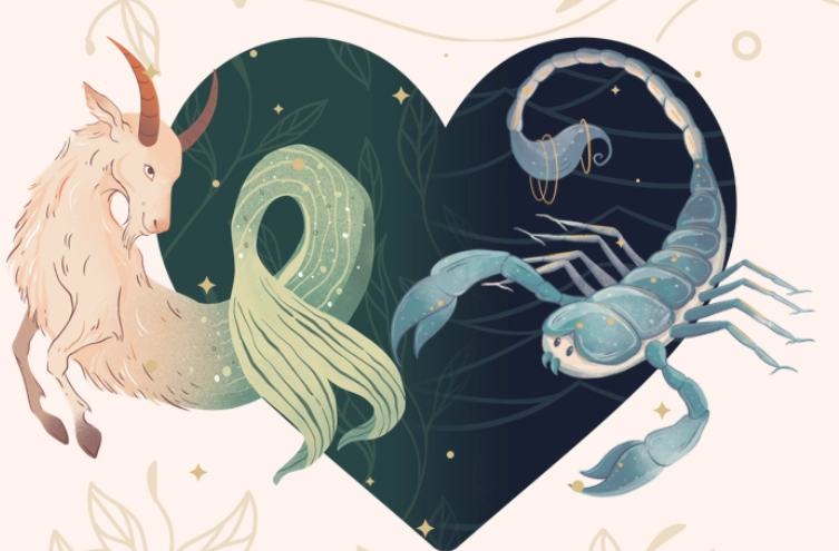 bad match for Capricorn bad match for Capricorn