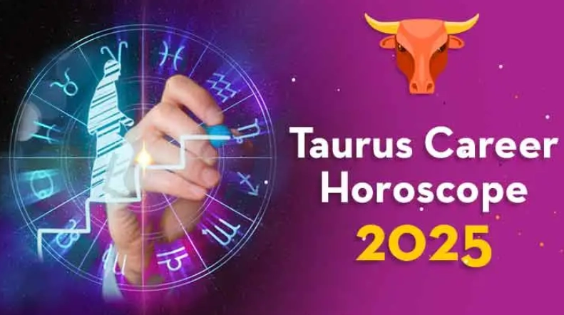 taurus career