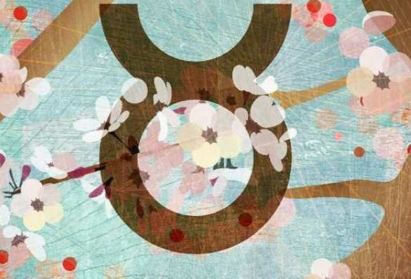 Taurus female attraction