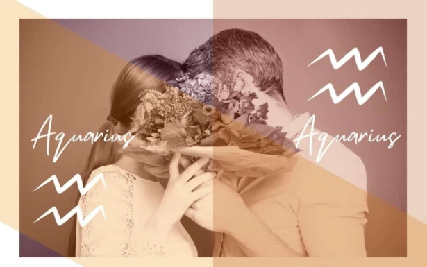 Aquarius love compatibility