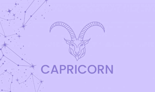 Capricorn career traits