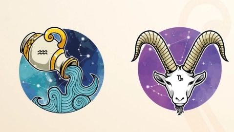 Aquarius compatibility