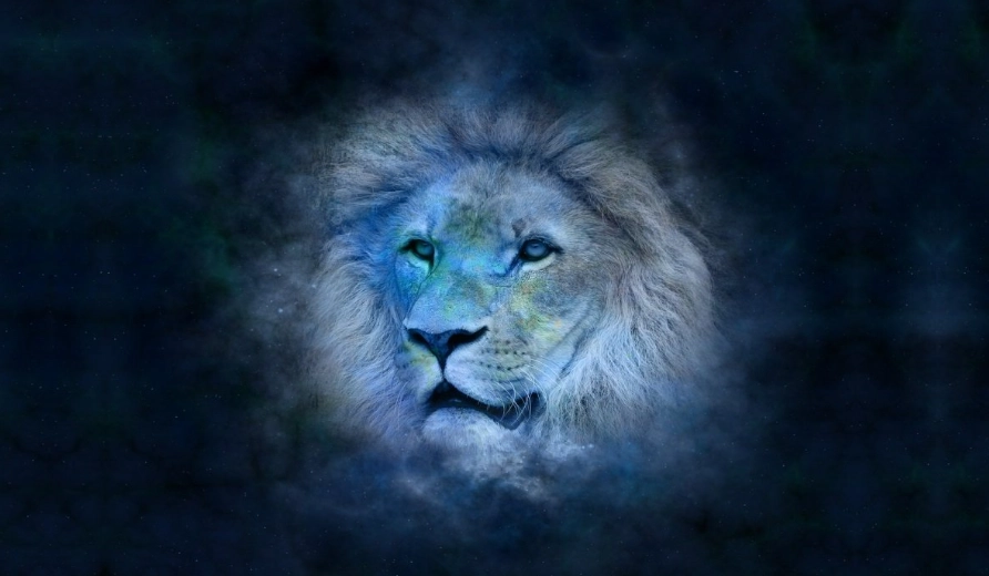 leo weaknesses leo weaknesses