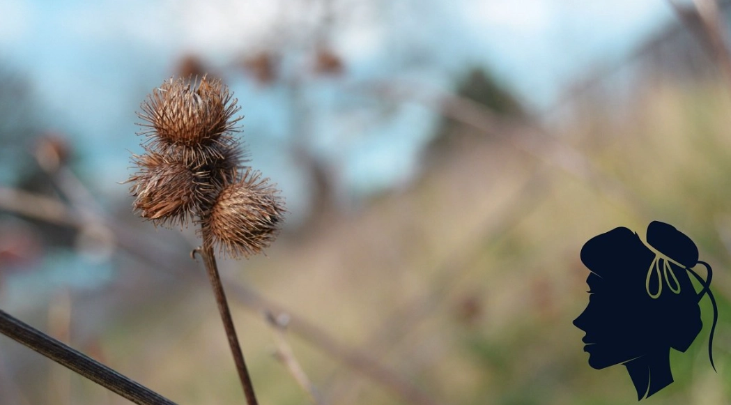 Virgo zodiac sign flaws Virgo zodiac sign flaws