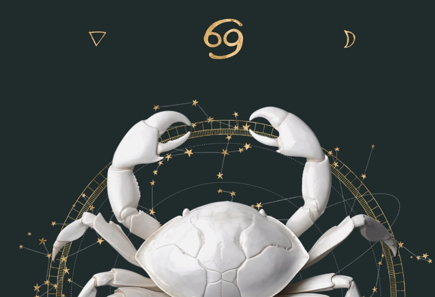 What does Cancer look for in a partner What does Cancer look for in a partner