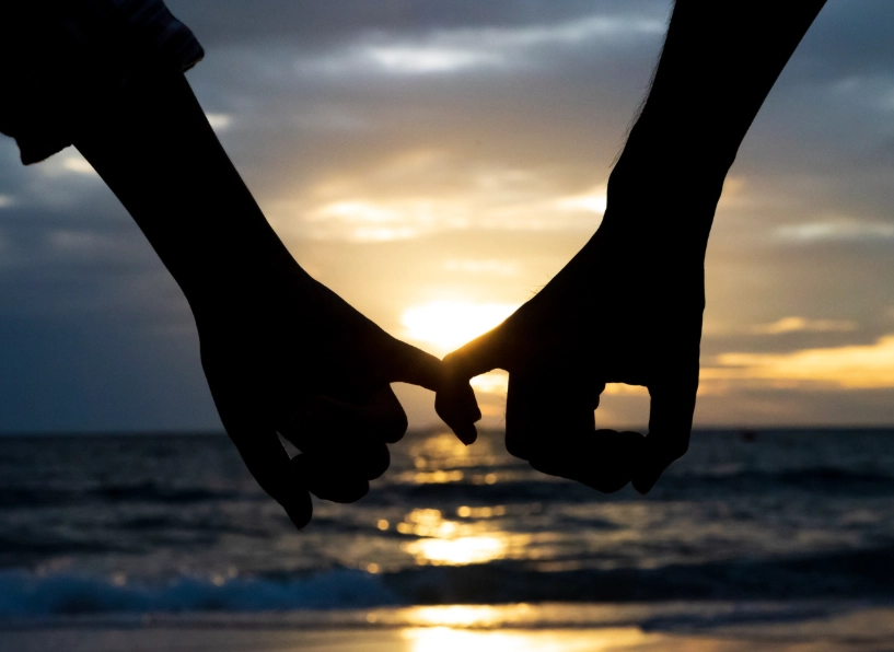 Gemini best match Gemini best match