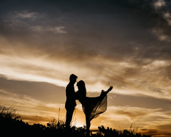 Gemini compatibility Gemini compatibility