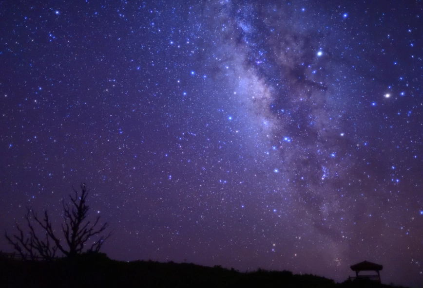 scary facts about Taurus woman